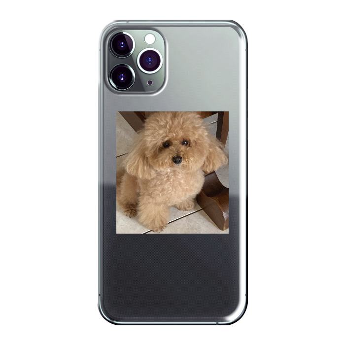 Cover personalizzata iPhone 11 Pro