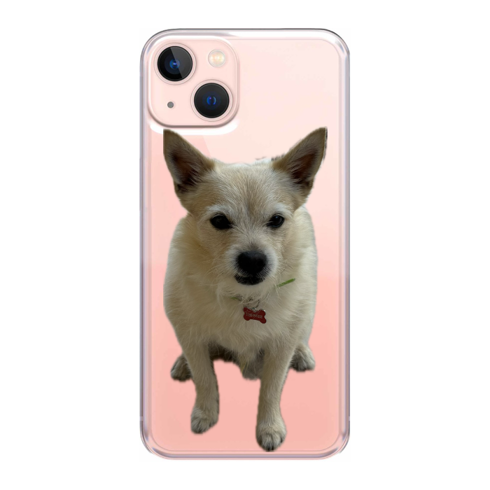Cover personalizzata iPhone 13