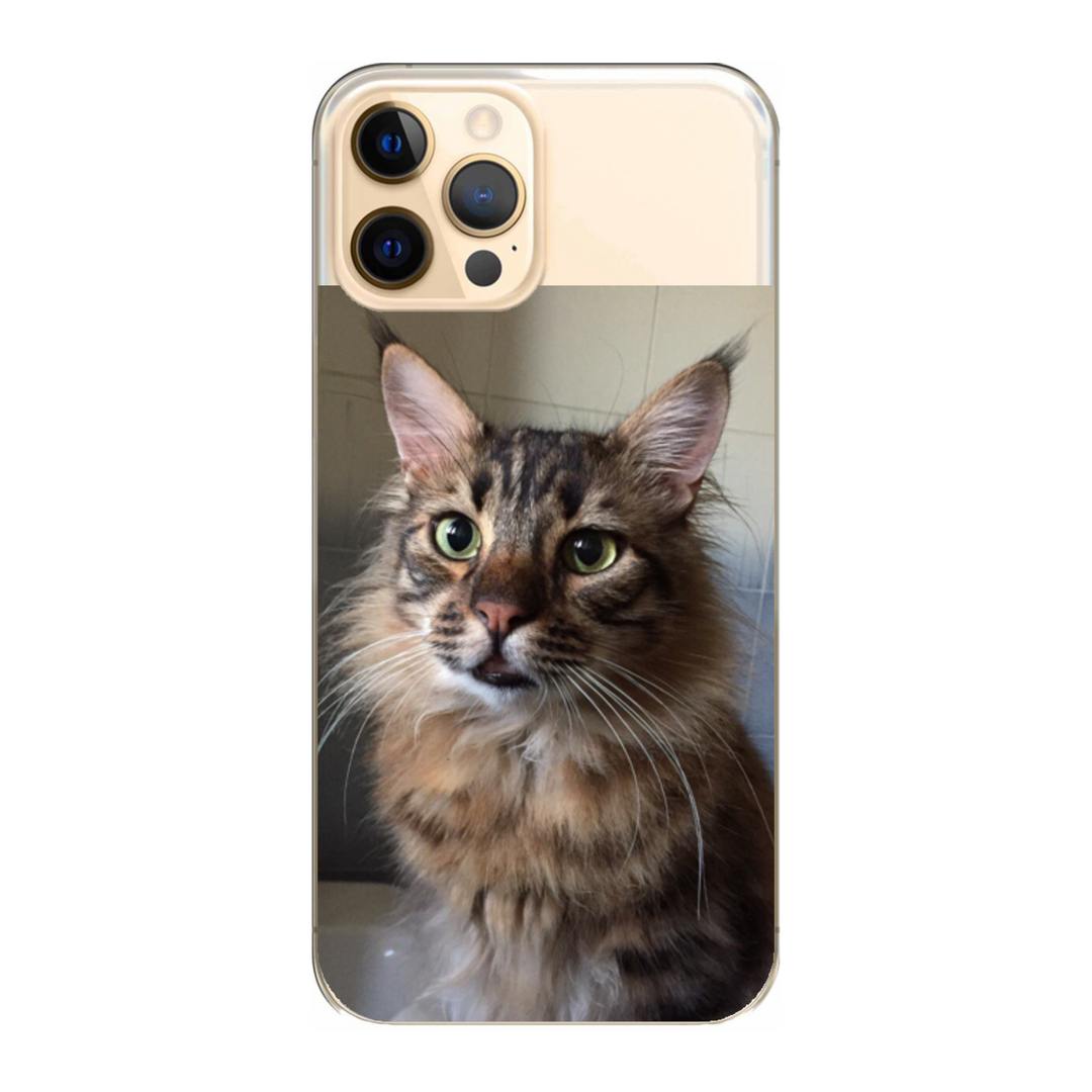 Cover personalizzata iPhone 12 Pro Max