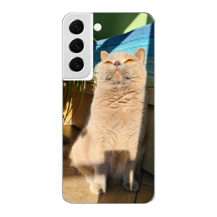 Cover personalizzata Samsung S22