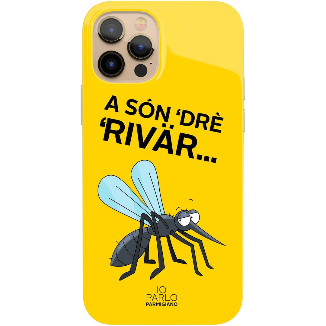 Cover A són 'drè 'rivär dell'album Bìssa scudlära di Io parlo parmigiano per iPhone, Samsung, Xiaomi e altri